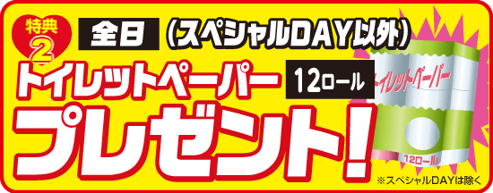 ���T2�F�S���i�X�y�V����DAY�ȊO�j�g�C���b�g�y�[�p�[12���[���v���[���g�I